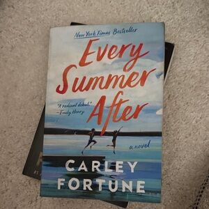 Every Summer After Novel